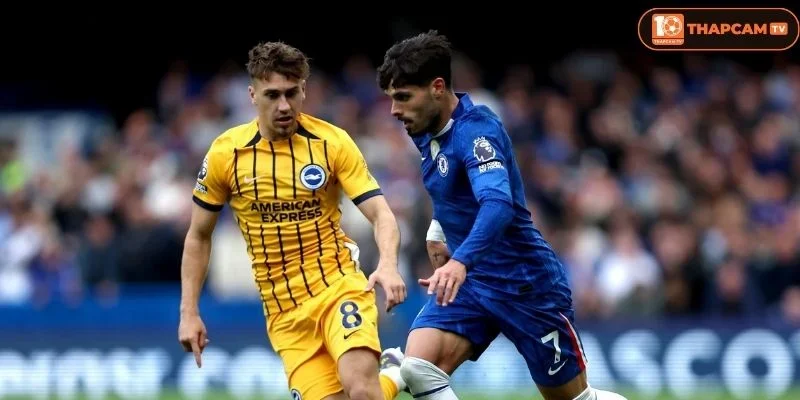 Lịch sử đối đầu Chelsea vs Brighton & Hove Albion cho thấy sự giằng co rất lớn ở hai đội tuyển 