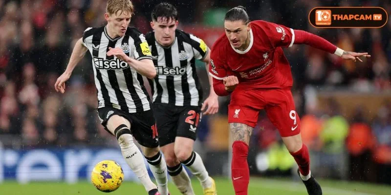 Lịch sử đối đầu Newcastle United vs Liverpool cho thấy Liverpool luôn trên kèo Newscastle.