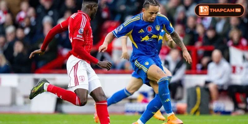Cả Nottingham Forest và Leeds United đều sẽ có đội hình tương đối chất lượng trong trận ra sân mở màn.