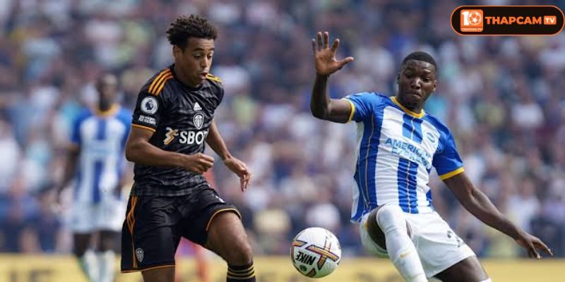 Brighton & Hove Albion đang có một khởi đầu rất ấn tượng tại Ngoại hạng Anh năm nay.