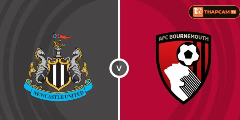 Soi kèo nhà cái Newcastle United vs Bournemouth từ ThapCam TIVI hé lộ nhiều thông tin thú vị.