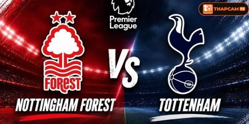 Lịch sử đối đầu Nottingham Forest vs Tottenham Hotspur cho thấy Tottenham đang có nhiều ưu thế hơn.